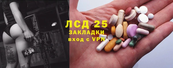 прущие грибы Белоозёрский