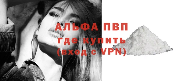 прущие грибы Белоозёрский