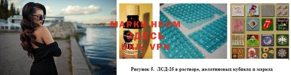 прущие грибы Белоозёрский