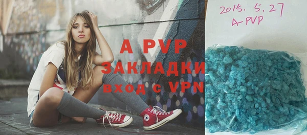 прущие грибы Белоозёрский